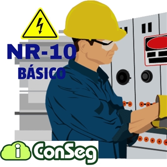 ICONSEG